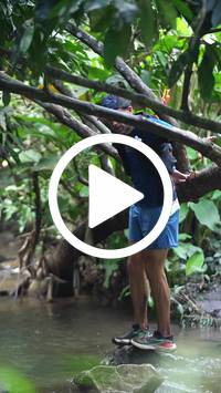 BIB:  <button type="button" onclick="openModal(27503888)" class="btn btn-primary btn-sm float-right" data-toggle="modal" data-target=".modal-high-quality">
                <i class="fa fa-download"></i> Download
                </button>